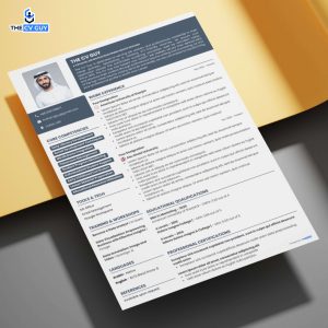 Top 22+ Professional ResumeCV Templates of 2025, The CV Guy