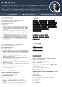 Professional-Resume-Template