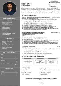 Professional-Resume-Template