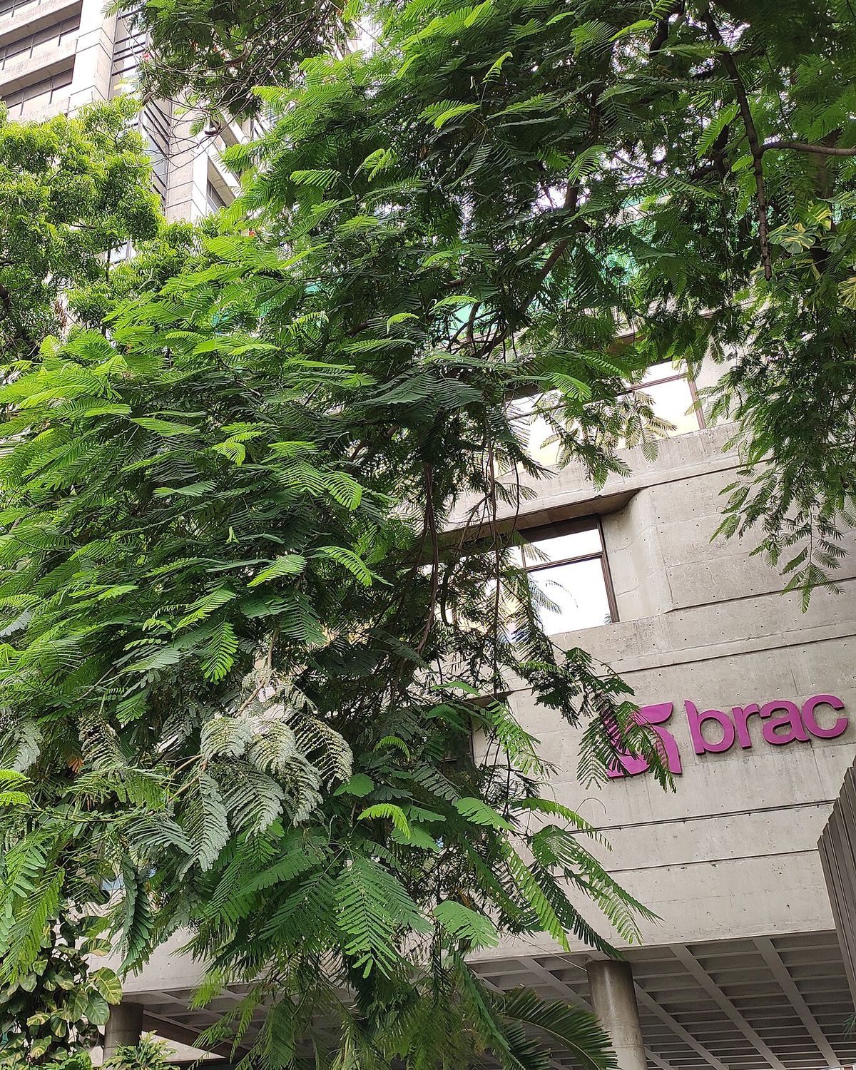 Aarong Internship Program (AIP): What Aarong Has Published, What It Hasn't, and How to Be Ready for the Next Window 2 The CV Guy is the No.1 Resume/CV Writer in Bangladesh, Asia & Middle East BRAC Centre in Mohakhali, Dhaka, a concrete tower behind trees with the magenta BRAC sign