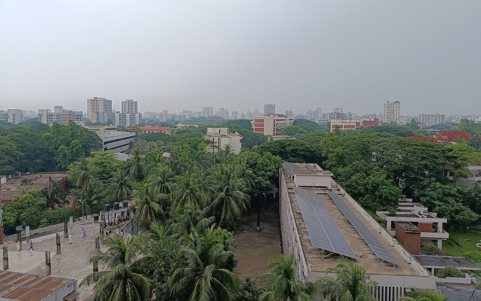 Grameenphone Nextern: What Grameenphone Has Published, What It Hasn't, and How to Be Ready for the Next Call 2 The CV Guy is the No.1 Resume/CV Writer in Bangladesh, Asia & Middle East Rooftop view over the tree lined BUET campus in Dhaka with solar panels on a long academic building and the city skyline behind