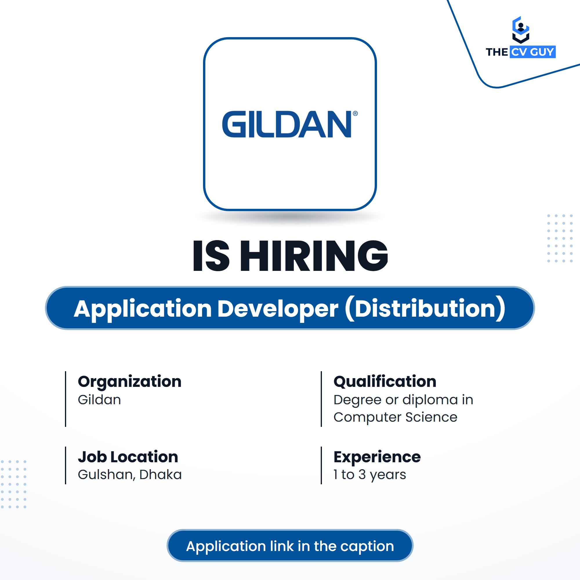 Gildan Application Developer Distribution job circular 2026